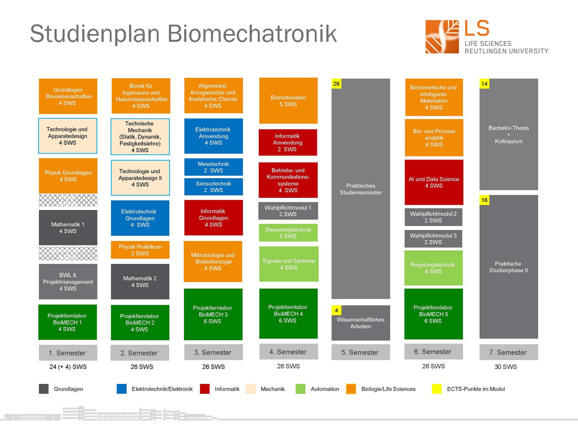 Studienplan Biomechatronik